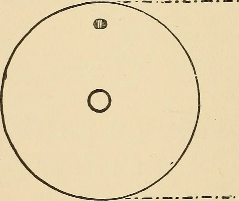 An illustration from The boy's own book of indoor games and recreations : a popular encyclopædia for boys, 1890, leaf 251