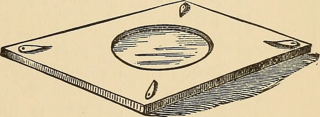 An illustration from The boy's own book of indoor games and recreations : a popular encyclopædia for boys, 1890, leaf 260