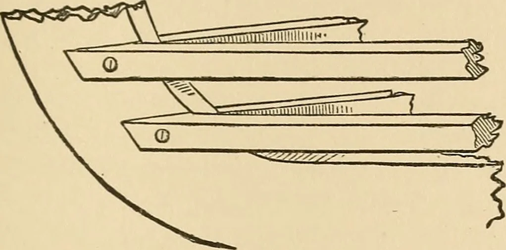 An illustration from The boy's own book of indoor games and recreations : a popular encyclopædia for boys, 1890, leaf 280