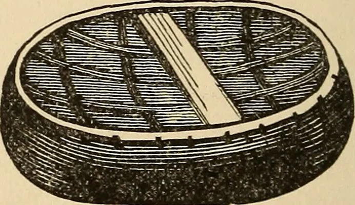 An illustration from The boy's own book of indoor games and recreations : a popular encyclopædia for boys, 1890, leaf 291