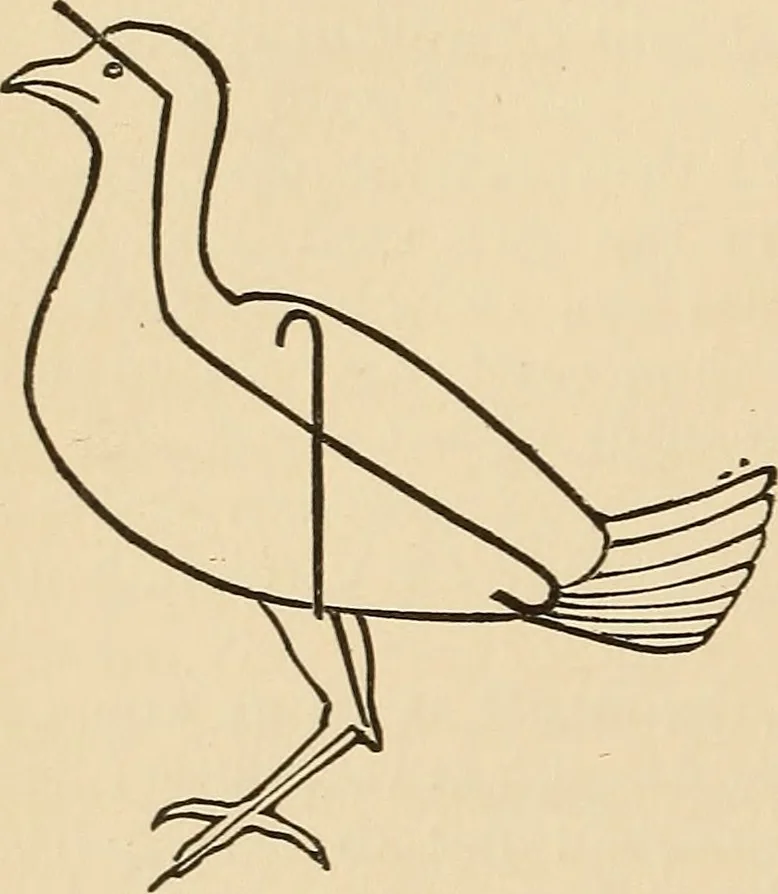 An illustration from The boy's own book of indoor games and recreations : a popular encyclopædia for boys, 1890, leaf 309