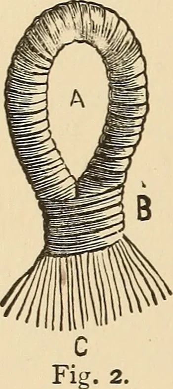 An illustration from The boy's own book of indoor games and recreations : a popular encyclopædia for boys, 1890, leaf 343