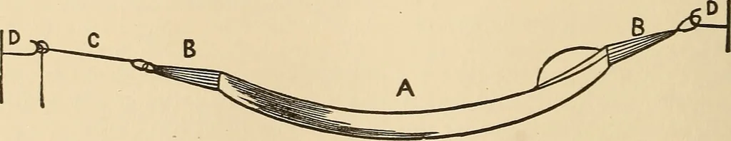 An illustration from The boy's own book of indoor games and recreations : a popular encyclopædia for boys, 1890, leaf 343