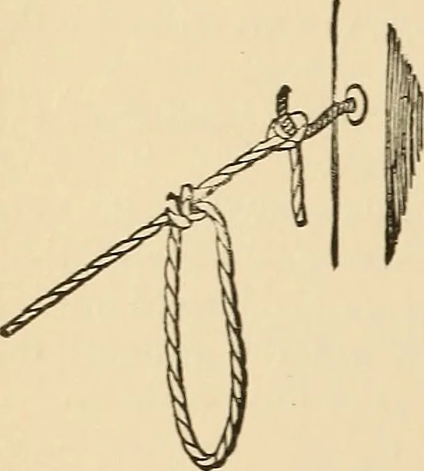 An illustration from The boy's own book of indoor games and recreations : a popular encyclopædia for boys, 1890, leaf 345