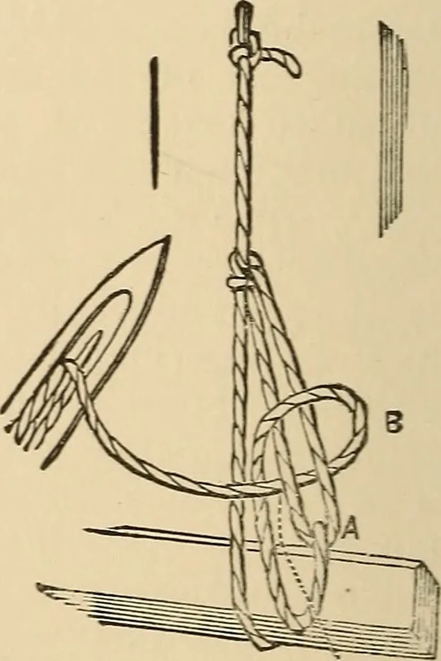 An illustration from The boy's own book of indoor games and recreations : a popular encyclopædia for boys, 1890, leaf 345