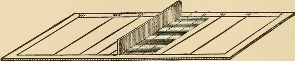 An illustration from The boy's own book of indoor games and recreations : a popular encyclopædia for boys, 1890, leaf 355