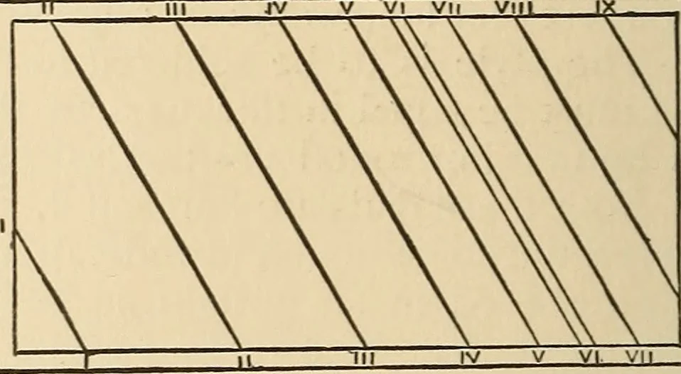 An illustration from The boy's own book of indoor games and recreations : a popular encyclopædia for boys, 1890, leaf 357