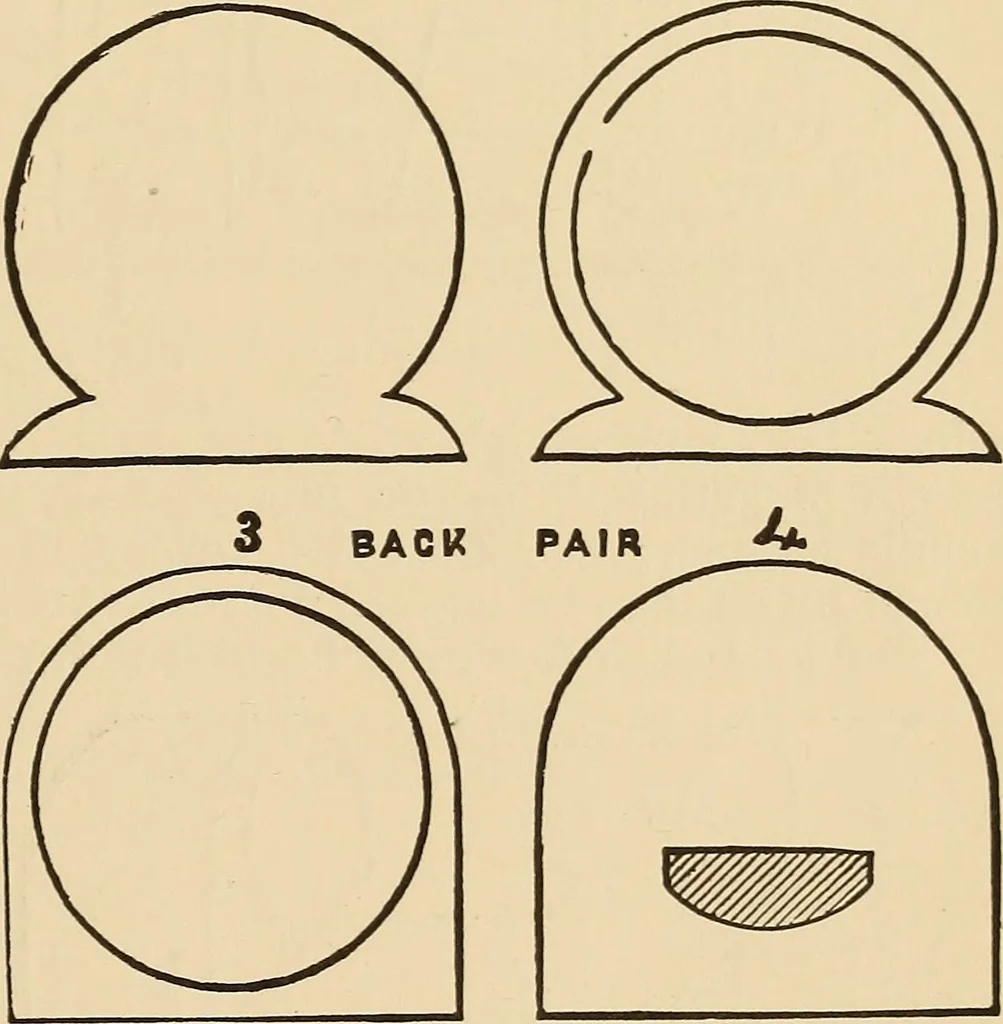 An illustration from The boy's own book of indoor games and recreations : a popular encyclopædia for boys, 1890, leaf 368