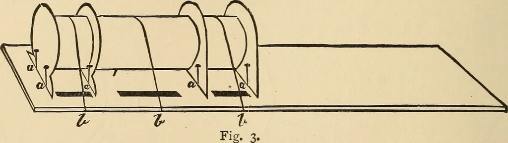 An illustration from The boy's own book of indoor games and recreations : a popular encyclopædia for boys, 1890, leaf 369