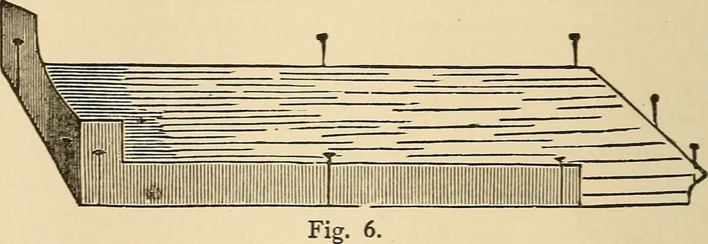 An illustration from The boy's own book of indoor games and recreations : a popular encyclopædia for boys, 1890, leaf 371