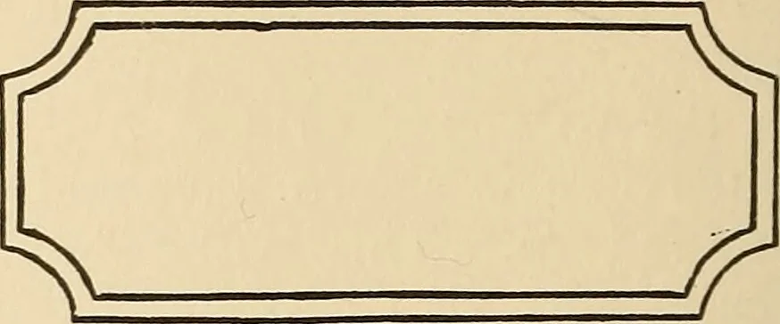 An illustration from The boy's own book of indoor games and recreations : a popular encyclopædia for boys, 1890, leaf 375