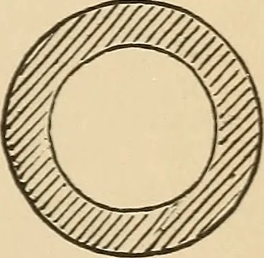 An illustration from The boy's own book of indoor games and recreations : a popular encyclopædia for boys, 1890, leaf 378