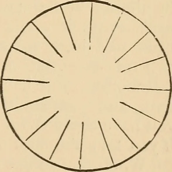 An illustration from The boy's own book of indoor games and recreations : a popular encyclopædia for boys, 1890, leaf 382
