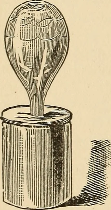 An illustration from The boy's own book of indoor games and recreations : a popular encyclopædia for boys, 1890, leaf 383