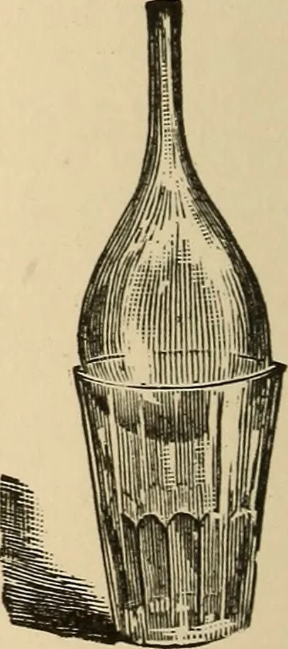 An illustration from The boy's own book of indoor games and recreations : a popular encyclopædia for boys, 1890, leaf 383