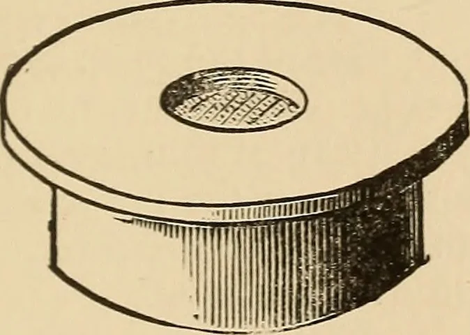 An illustration from The boy's own book of indoor games and recreations : a popular encyclopædia for boys, 1890, leaf 386