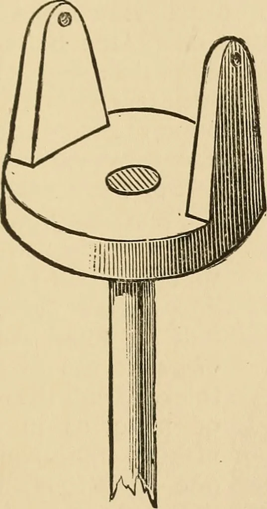 An illustration from The boy's own book of indoor games and recreations : a popular encyclopædia for boys, 1890, leaf 388