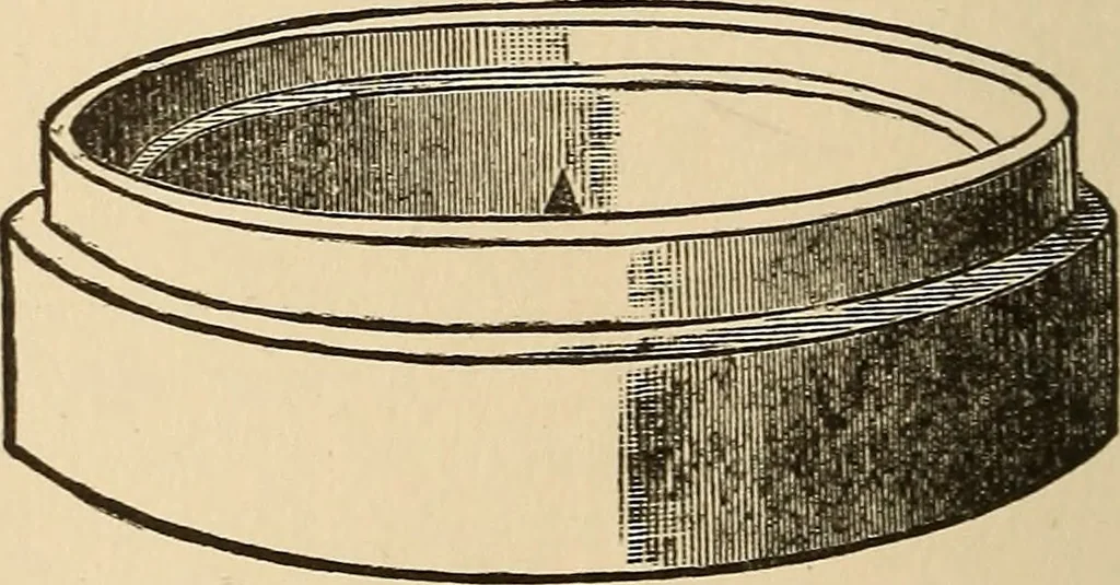 An illustration from The boy's own book of indoor games and recreations : a popular encyclopædia for boys, 1890, leaf 401