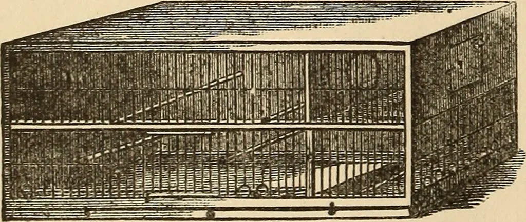 An illustration from The boy's own book of indoor games and recreations : a popular encyclopædia for boys, 1890, leaf 409