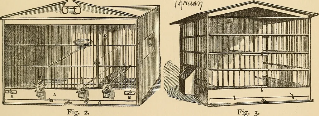 An illustration from The boy's own book of indoor games and recreations : a popular encyclopædia for boys, 1890, leaf 410