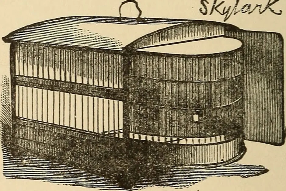 An illustration from The boy's own book of indoor games and recreations : a popular encyclopædia for boys, 1890, leaf 411