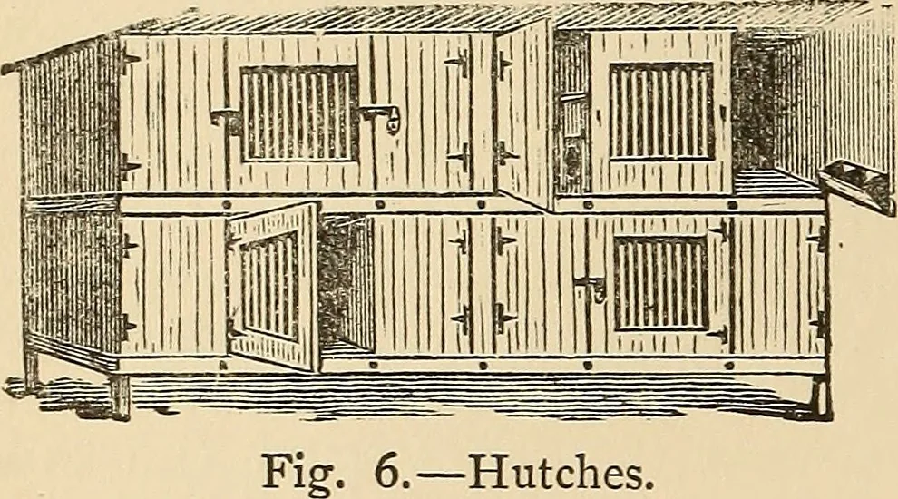 An illustration from The boy's own book of indoor games and recreations : a popular encyclopædia for boys, 1890, leaf 415