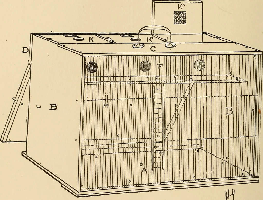 An illustration from The boy's own book of indoor games and recreations : a popular encyclopædia for boys, 1890, leaf 417