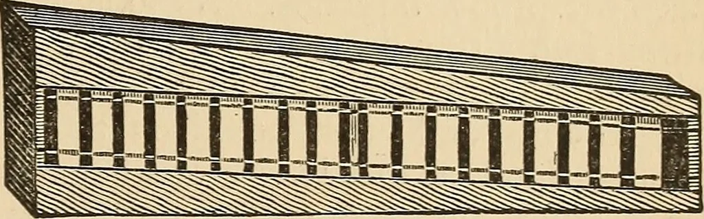 An illustration from The boy's own book of indoor games and recreations : a popular encyclopædia for boys, 1890, leaf 422