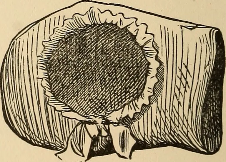 An illustration from The boy's own book of indoor games and recreations : a popular encyclopædia for boys, 1890, leaf 459