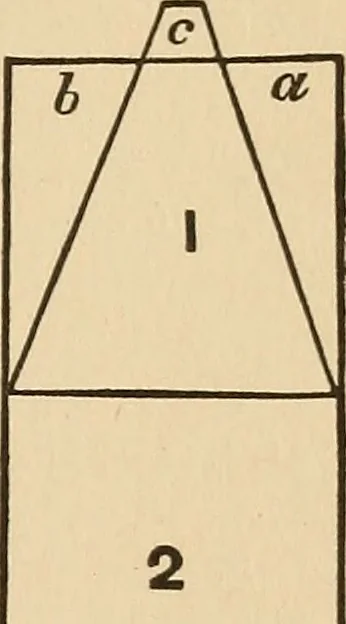 An illustration from The boy's own book of indoor games and recreations : a popular encyclopædia for boys, 1890, leaf 488