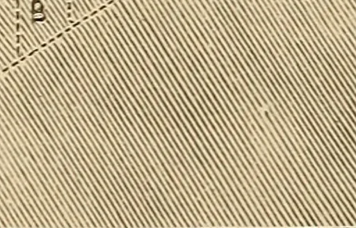 An illustration from The boy's own book of indoor games and recreations : a popular encyclopædia for boys, 1890, leaf 49