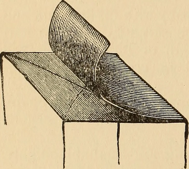 An illustration from The boy's own book of indoor games and recreations : a popular encyclopædia for boys, 1890, leaf 495
