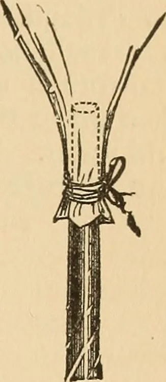 An illustration from The boy's own book of indoor games and recreations : a popular encyclopædia for boys, 1890, leaf 500