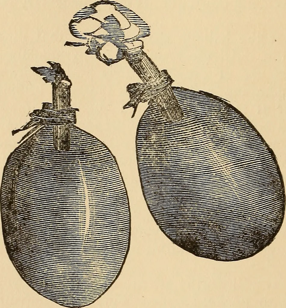 An illustration from The boy's own book of indoor games and recreations : a popular encyclopædia for boys, 1890, leaf 501