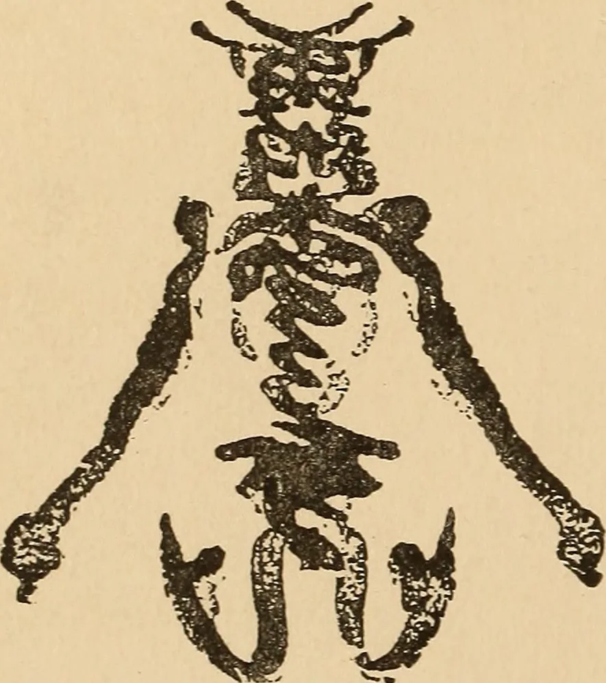 An illustration from The boy's own book of indoor games and recreations : a popular encyclopædia for boys, 1890, leaf 515