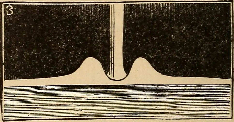 An illustration from The boy's own book of indoor games and recreations : a popular encyclopædia for boys, 1890, leaf 523