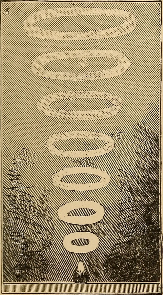 An illustration from The boy's own book of indoor games and recreations : a popular encyclopædia for boys, 1890, leaf 524