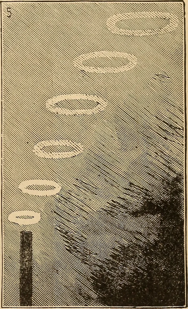 An illustration from The boy's own book of indoor games and recreations : a popular encyclopædia for boys, 1890, leaf 524