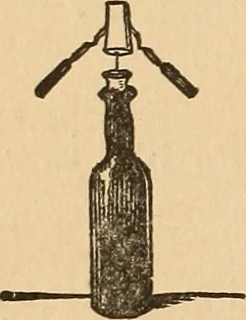 An illustration from The boy's own book of indoor games and recreations : a popular encyclopædia for boys, 1890, leaf 531