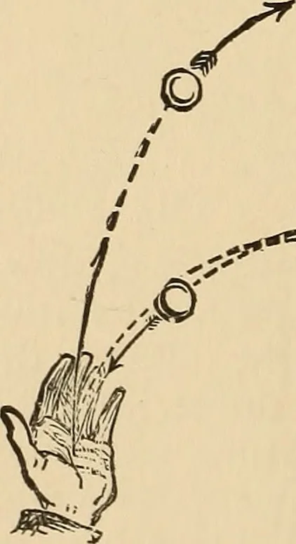 An illustration from The boy's own book of indoor games and recreations : a popular encyclopædia for boys, 1890, leaf 77