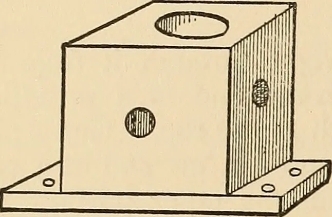 An illustration from The boy's own book of indoor games and recreations : a popular encyclopædia for boys, 1890, leaf 95
