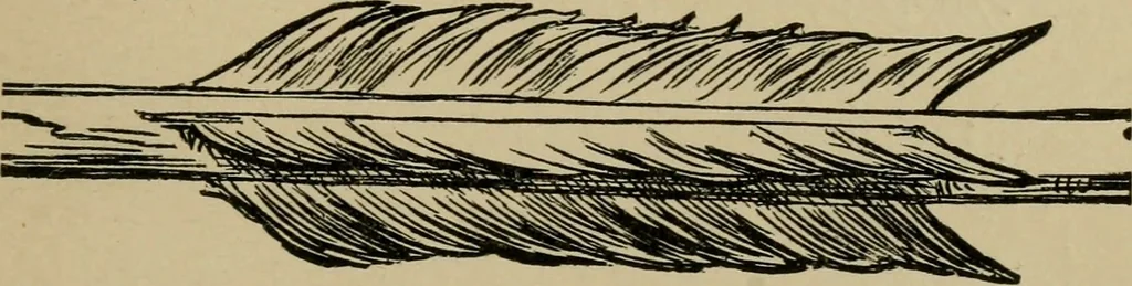 An illustration from A boy's workshop, 1884, leaf 198