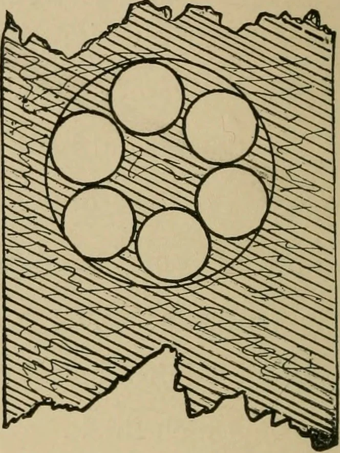 An illustration from A boy's workshop, 1884, leaf 29