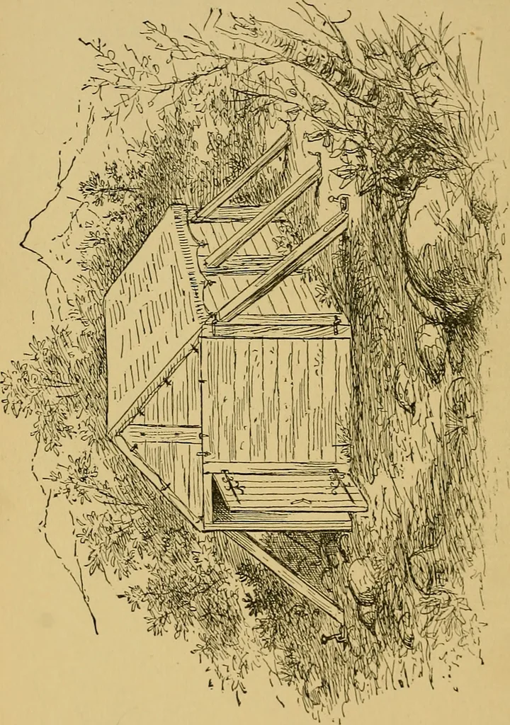 An illustration from A boy's workshop, 1884, leaf 113