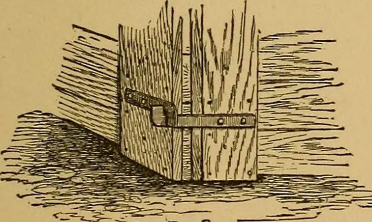 An illustration from A boy's workshop, 1884, leaf 124
