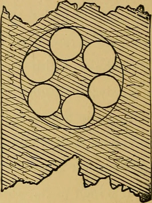 An illustration from A boy's workshop, 1884, leaf 29