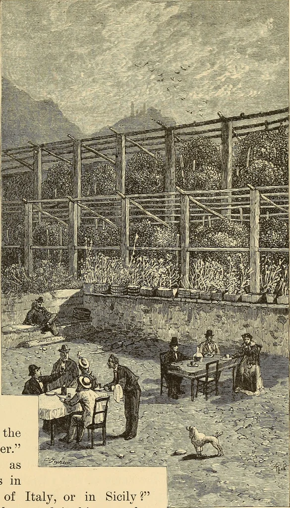 An illustration from The boy travellers in southern Europe : adventures of two youths in a journey through Italy, southern France, and Spain, with visits to Gibraltar and the islands of Sicily and Malta, 1893, leaf 102