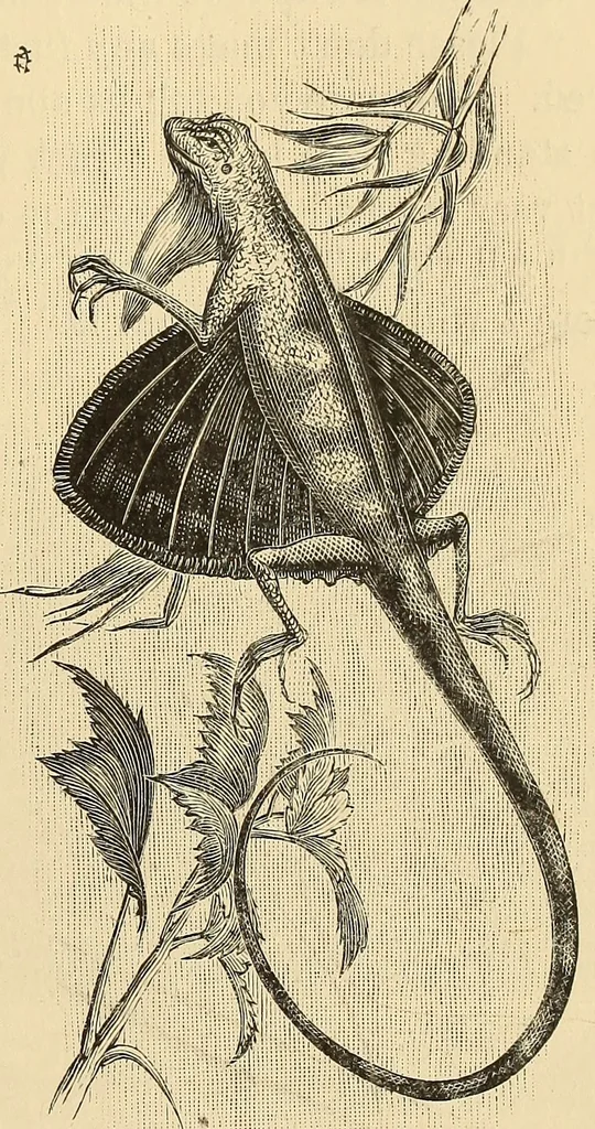 An illustration from The boy travellers in southern Europe : adventures of two youths in a journey through Italy, southern France, and Spain, with visits to Gibraltar and the islands of Sicily and Malta, 1893, leaf 160