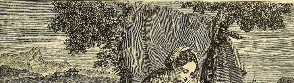 An illustration from The boy travellers in southern Europe : adventures of two youths in a journey through Italy, southern France, and Spain, with visits to Gibraltar and the islands of Sicily and Malta, 1893, leaf 208