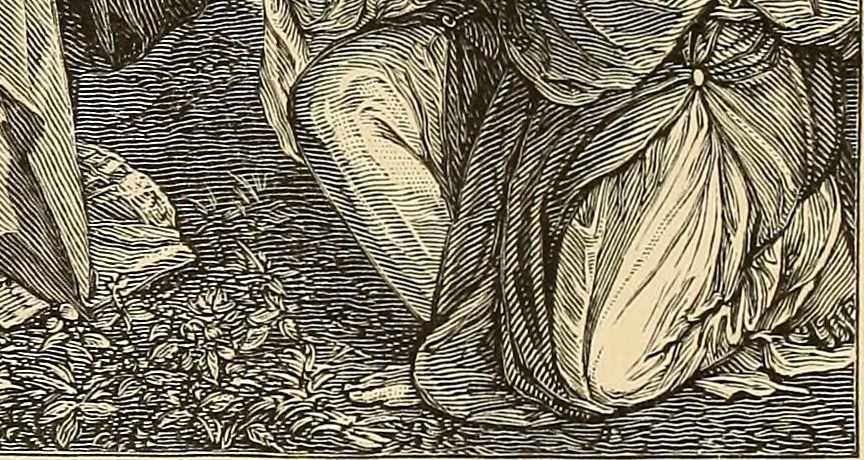 An illustration from The boy travellers in southern Europe : adventures of two youths in a journey through Italy, southern France, and Spain, with visits to Gibraltar and the islands of Sicily and Malta, 1893, leaf 208
